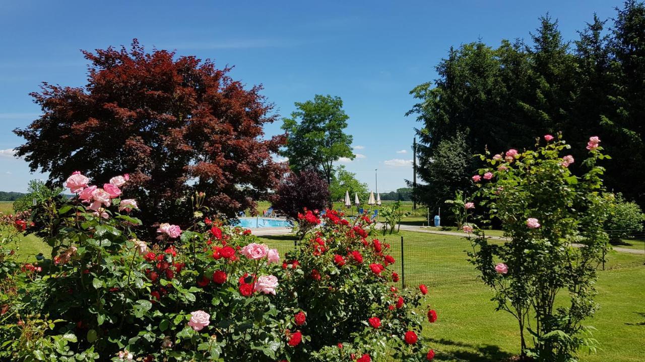 Zum Lindenhof Hotel 3*
