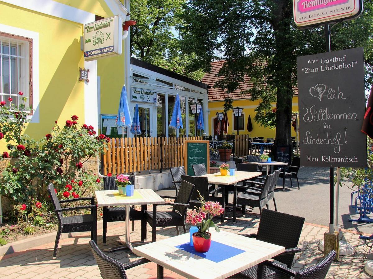 Hotel Zum Lindenhof Bad Radkersburg